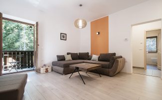 Bear - living room