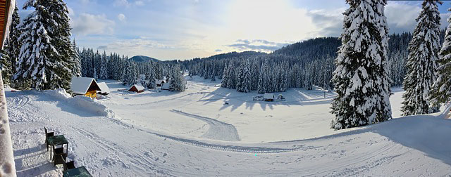 Winter Wonderland Pokljuka